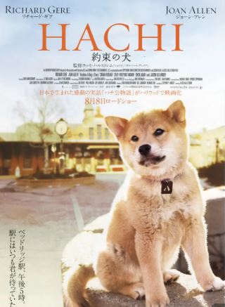 日本真实事件改编电影《忠犬八公》解说文案完整版