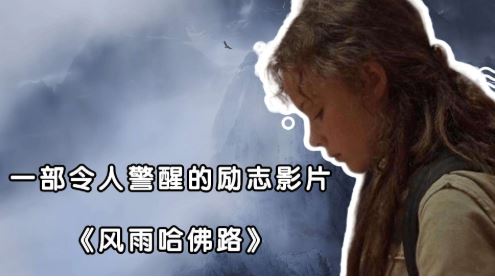 励志电影《风雨哈佛路》解说文案及全剧下载