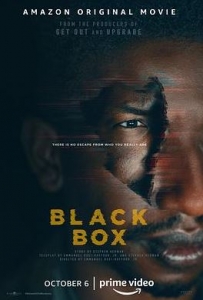 惊悚电影《黑盒子》解说文案及全剧下载