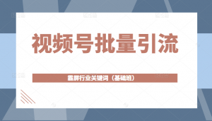 微信视频号批量引流，霸屏行业关键词（基础班）全面系统讲解视频号玩法